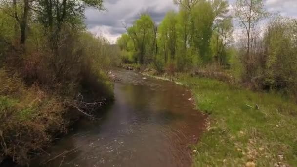 Río en primavera verde — Vídeos de Stock