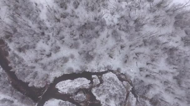 Fluss und schneebedeckte Bäume rotieren aus Wolken — Stockvideo