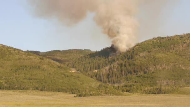 Un feu de forêt brûlant sur le flanc d'une chaîne de montagnes — Video