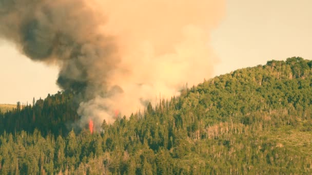 En skogsbrand som bränner på sidan av en bergskedja — Stockvideo