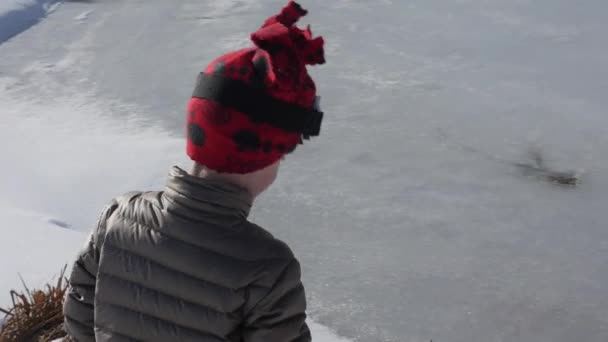 Kinderen spelen op het ijs in een vijver — Stockvideo