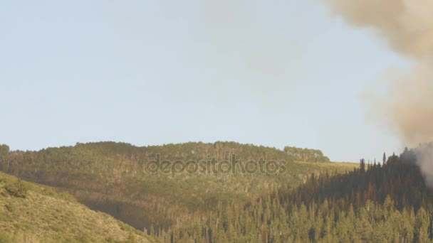 Een wildvuur branden aan de kant van een gebergte — Stockvideo