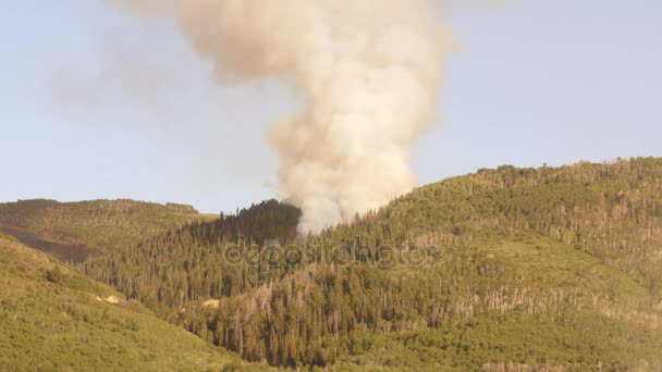 Дикий вогонь, що горить на боці гірського хребта — стокове відео