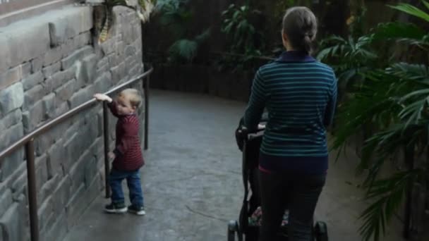 Niño y madre caminando por el zoológico — Vídeo de stock