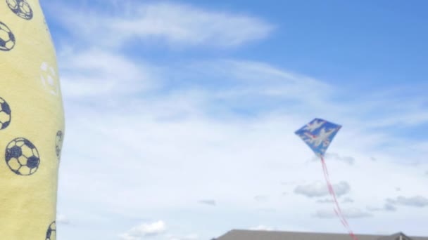 Little boy flying a kite outside — Stock Video