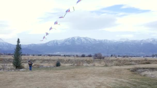 Little boy flying kite — Stock Video