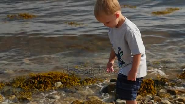 Menino procura pedras para jogar no oceano — Vídeo de Stock