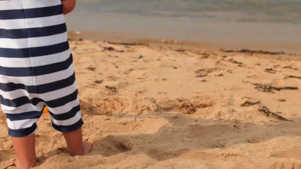 Menino brincando na praia do oceano na areia — Vídeo de Stock