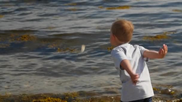 Malý chlapec hodí kámen do oceánu — Stock video