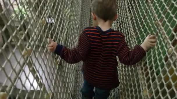 Boy walking through rope monkey bridge — Stock Video