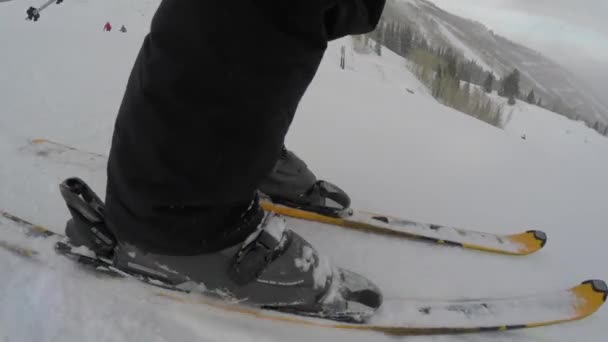 Ski fahren den Berg hinunter — Stockvideo