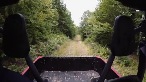 Four wheeler riding — Stock Video