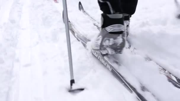 As pessoas atravessam o país esquiando na neve — Vídeo de Stock