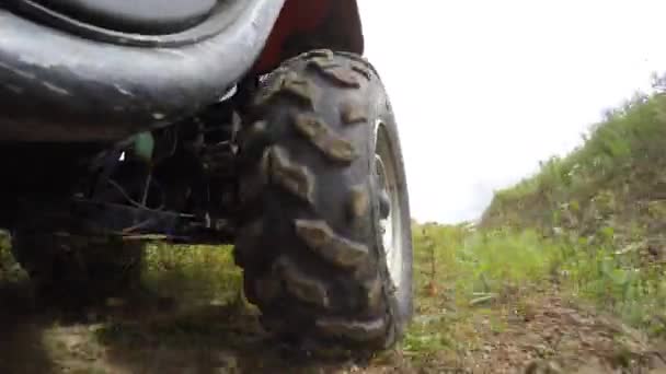 Unidad en camino de tierra en el bosque — Vídeo de stock