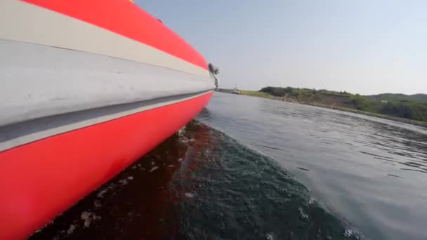 Whale watching raft on ocean water — Stock Video