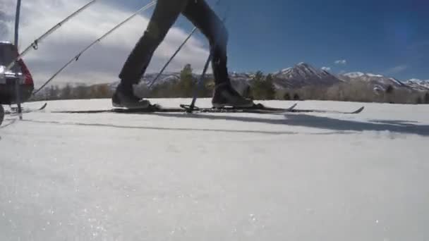 People cross country skiing in the snow — Stock Video