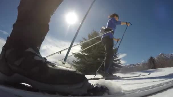 As pessoas atravessam o país esquiando na neve — Vídeo de Stock