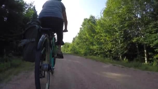 Woman riding on a biking trail in forest — Stock Video