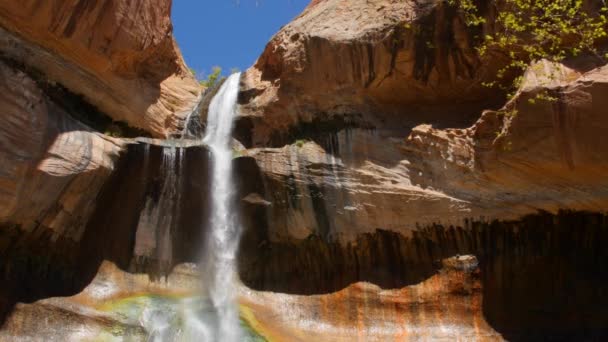 Lower calf creek falls in the desert — Stock Video