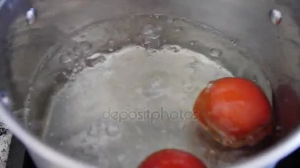 L'homme fait bouillir des tomates pour la salsa dans une casserole d'eau chaude — Video