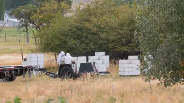 Mannen inspecteren hun bee-hives — Stockvideo