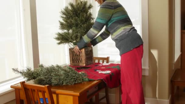 Madre y niño sacan árbol de navidad — Vídeos de Stock