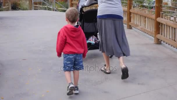Madre e bambino spingendo un passeggino — Video Stock