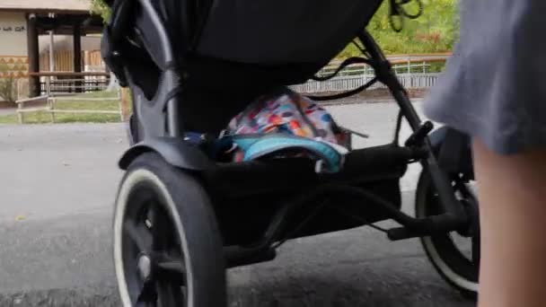 Mother pushing stroller — Stock Video