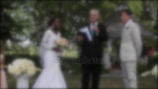 Persone che celebrano durante una cerimonia di matrimonio multirazziale — Video Stock