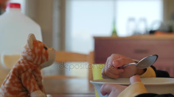 Bonito menino comendo cereais — Vídeo de Stock