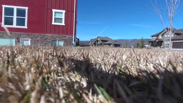 Quadcopter aterrizando en la hierba — Vídeos de Stock