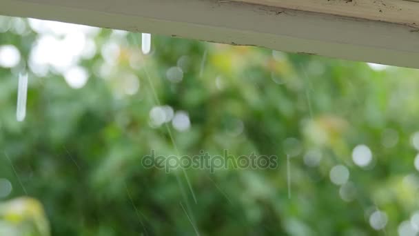 Regnet droppar utanför ett hus tak och träd under storm — Stockvideo