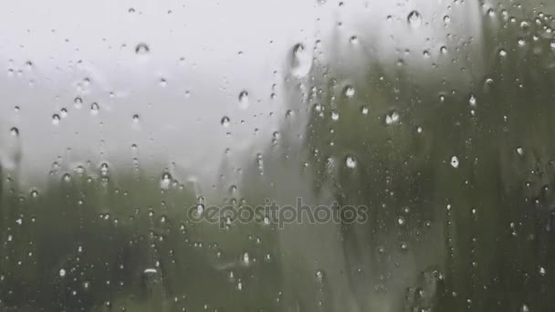 Lluvia corriendo por una ventana durante la tormenta — Vídeo de stock