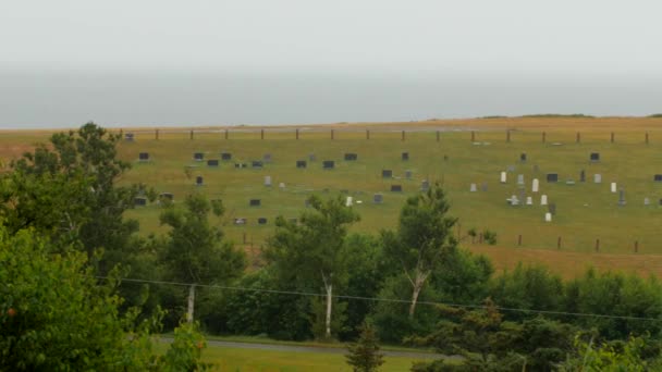 Raindrops falling on a cemetery — Stock Video