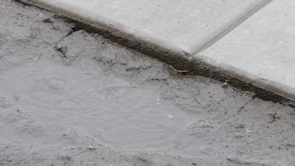 Gotas de lluvia en un charco por la acera — Vídeos de Stock