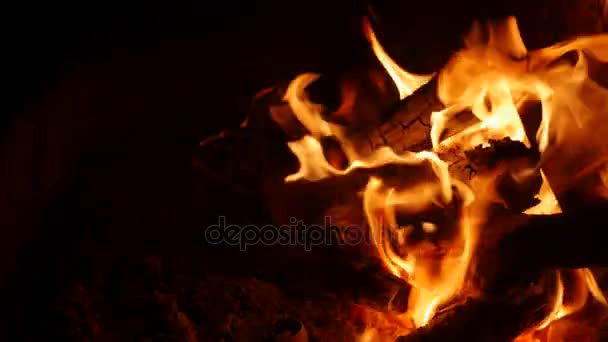 Una gran fogata ardiendo por la noche — Vídeo de stock