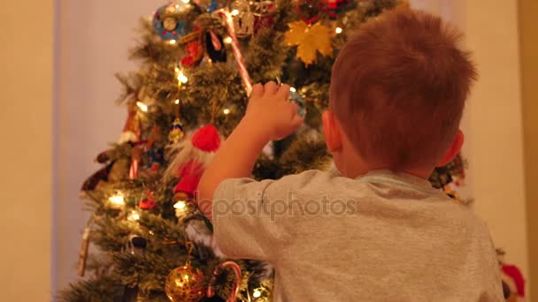 Menino pela árvore de Natal à noite — Vídeo de Stock