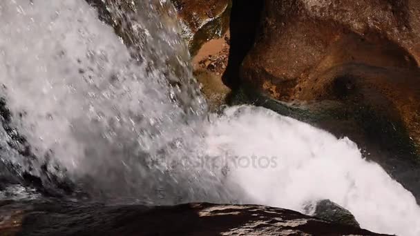 Chute d'eau fraîche dans le canyon de fente — Video