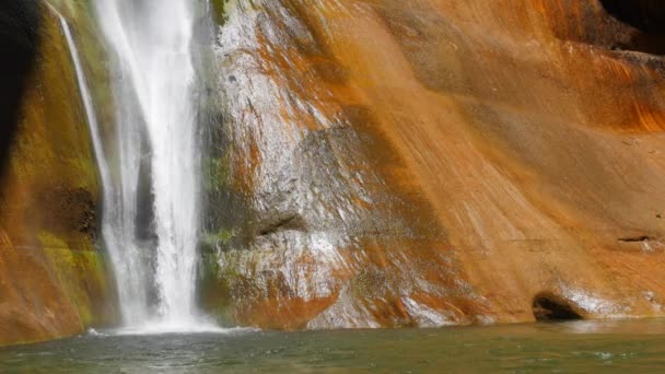 Beautiful lower calf creek falls — Stock Video