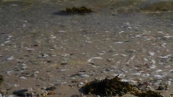 Ondas calmas na bela costa — Vídeo de Stock