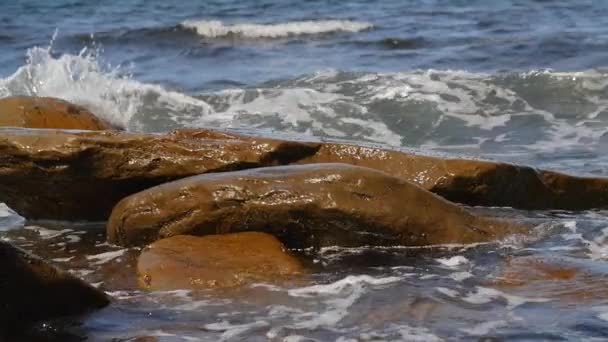 Golven op op een inham van de rotsachtige Oceaan voor de kust — Stockvideo