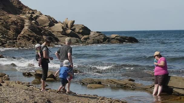 Família jogando em uma praia rochosa — Vídeo de Stock