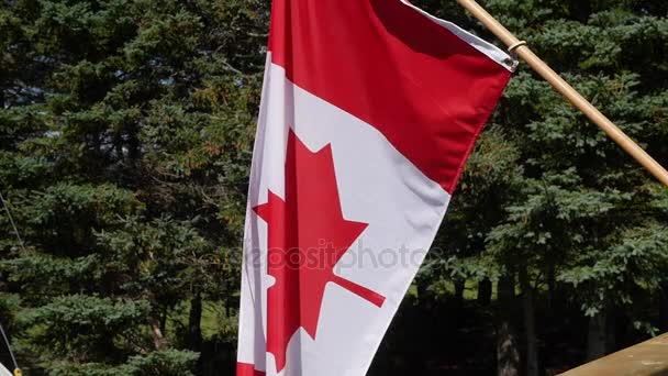 Bandera canadiense ondeando en el viento — Vídeos de Stock