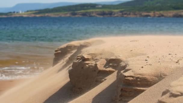 Песчаные вздутия на ветру на пляже — стоковое видео