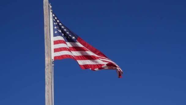 Sventola bandiera americana — Video Stock
