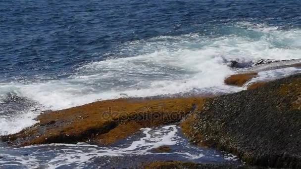 Granito rocoso costa del océano — Vídeo de stock