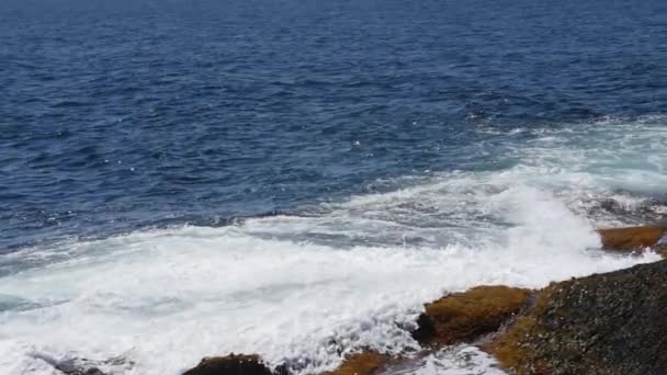 岩石的花岗岩海洋海岸线 — 图库视频影像