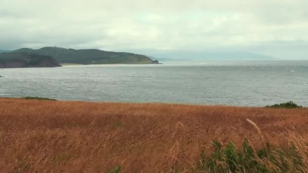 Hierba en el viento y el agua áspera del océano — Vídeos de Stock