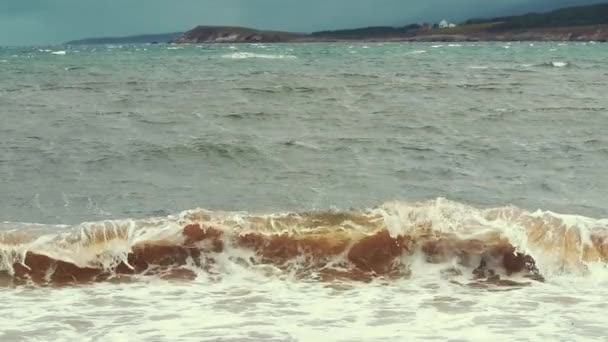 Hermosa playa y el agua áspera del océano — Vídeo de stock