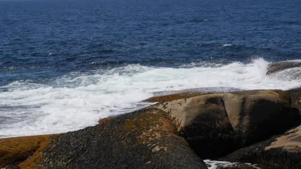 Скеляста гранітна берегова лінія океану — стокове відео